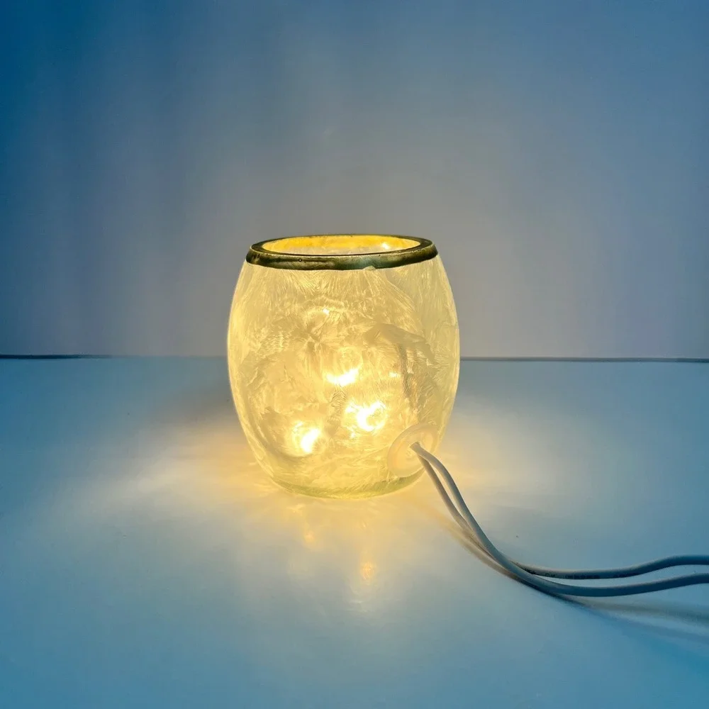 Frosted Glass Bird Butterfly Electric Accent Lamp Nature Floral Sm Stony creek